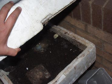 Polystyrene housing protects the worms from excessively hot or cold temperatures
